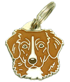 RETRIEVER DE NUEVA ESCOCIA - Placa grabada, placas identificativas para perros grabadas MjavHov.